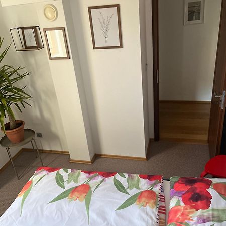 Apartman S Wellness Sluzbami Čerčany 外观 照片